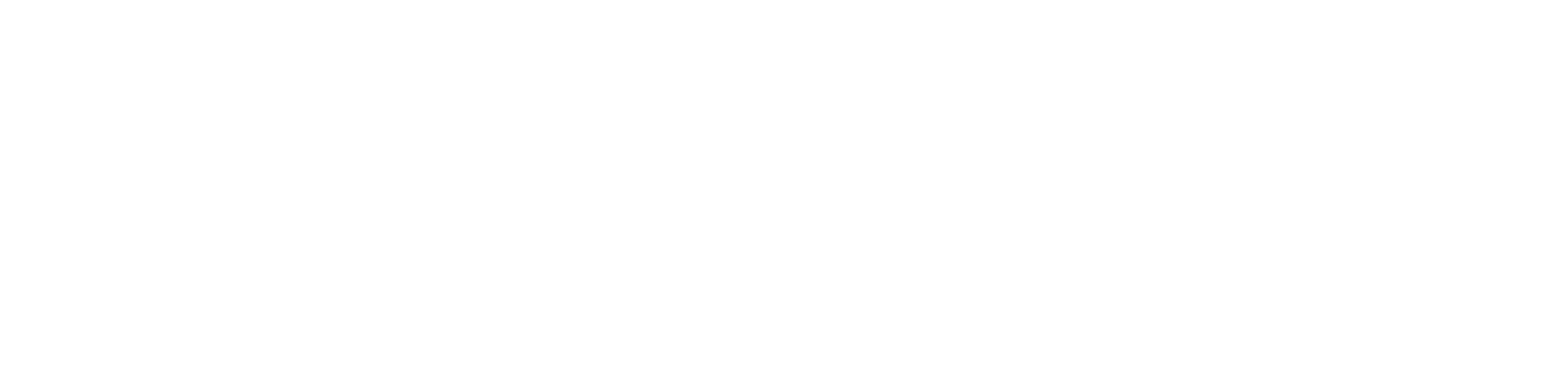 Jeunesse Stores LLC