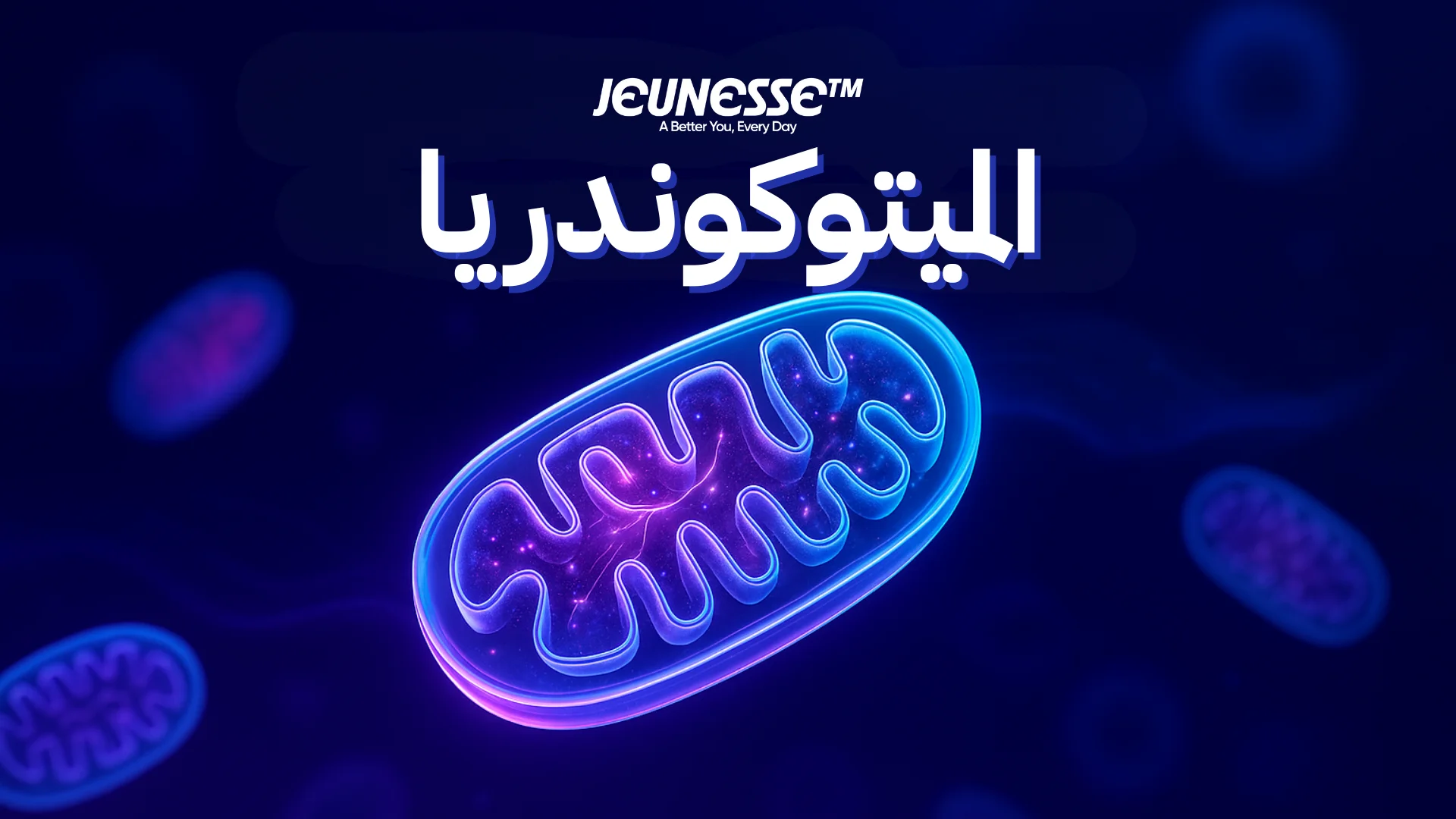 الميتوكوندريا